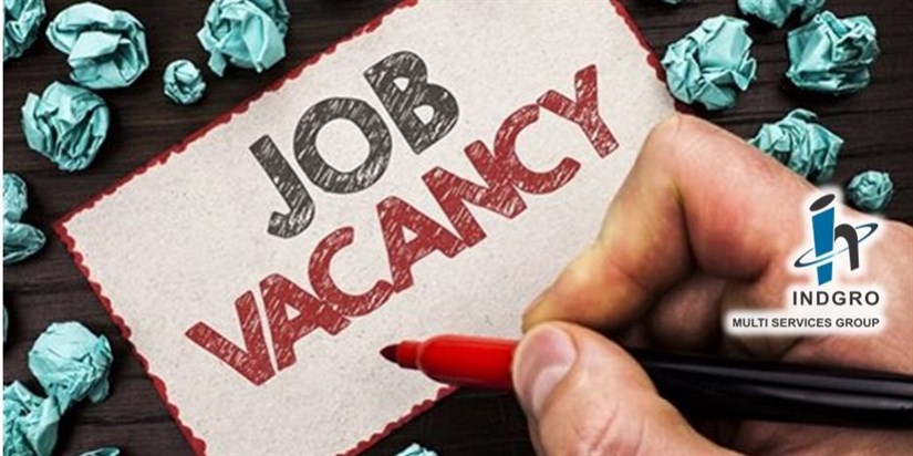 vacancy-code-10-and-14-drivers-cape-town-indgro-outsourcing